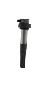 Cewka zapłonowa BORGWARNER (BERU) ZS386 | Sprawdzony produkt
